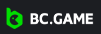 Exploring the Thrills and Features of BC.Game Casino